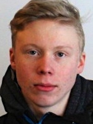 Lehtinen, Aapo