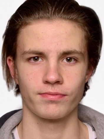 Loytainen, Niko