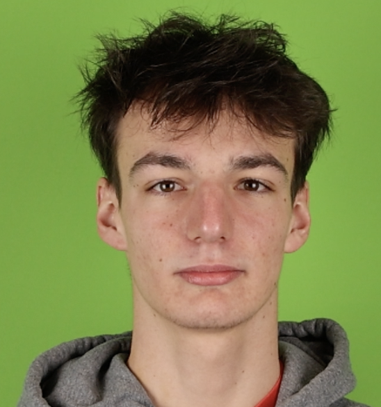 Rygl, David