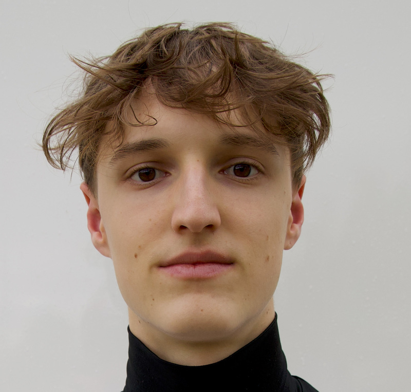 Obersteiner, Louis