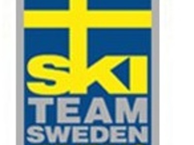 Новый тренер сборной Швеции